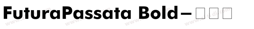 FuturaPassata Bold字体转换